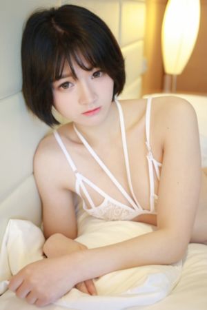 白色相簿2