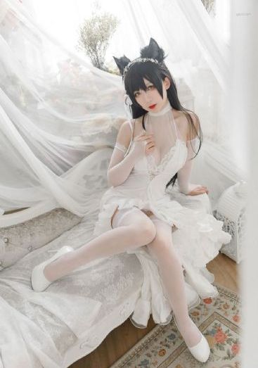恋爱自由式